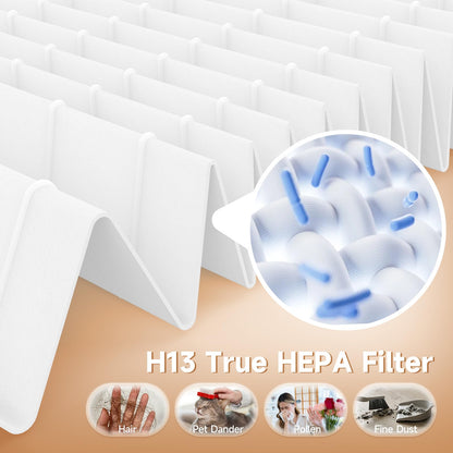 ZX001 Replacement Filter Compatible with TEBILD ZX001 Air Purifier, 3-in-1 H13 True HEPA and High-Efficiency Activated Carbon Filters for Home Large Room, 2 Pack