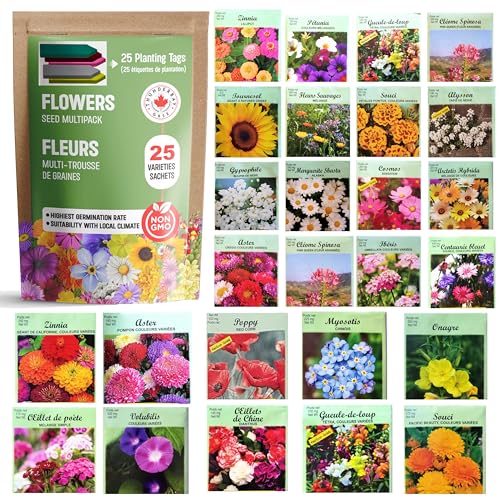 25 Packs Sachets Flowers Varieties Heirloom Seeds Packets Seeds with 25 Planting Labels 100% Non-GMO. Sachets de graines potagères