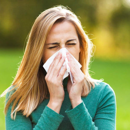 Bblina Soft Pocket Facial Tissue, Travel Size, 100 Packs Small Tissue