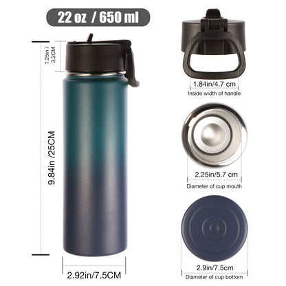 Volhoply Insulated Water Bottles with Straw Bulk 2 Pack, 22 oz Stainless Steel Sports Bottle with Handle Lid,Double Walled Metal Water Cups with Wide Mouth,Reusable Cold Water Flask(Assorted,2 Set)
