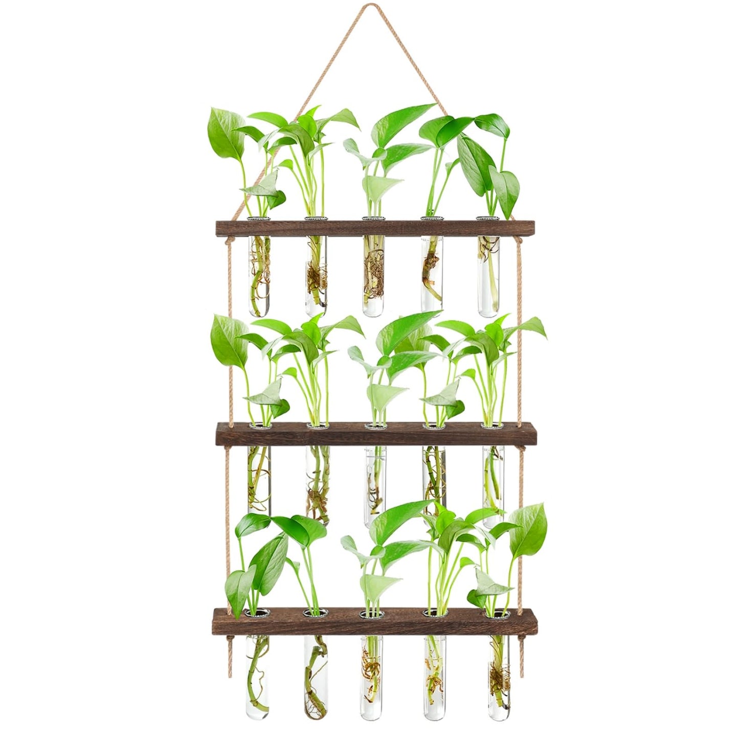3 Tier Hanging Propagation Station, Wall Hanging Planter Terrarium with Wooden Stand&16 Glass Test Tubes, for Hydroponic Cuttings, Home Office Decor (3Tier&16Tubes)