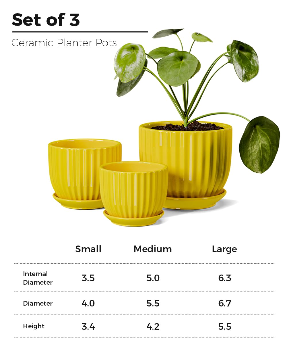 Ceramic Flower Pots Set of 3, 4+5+6 inch Plant Pots for Indoor Plants Ceramic Plant Pots with Tray,Medium Indoor Planters for Aloe Cactus Decorative Pots with Drainage Hole