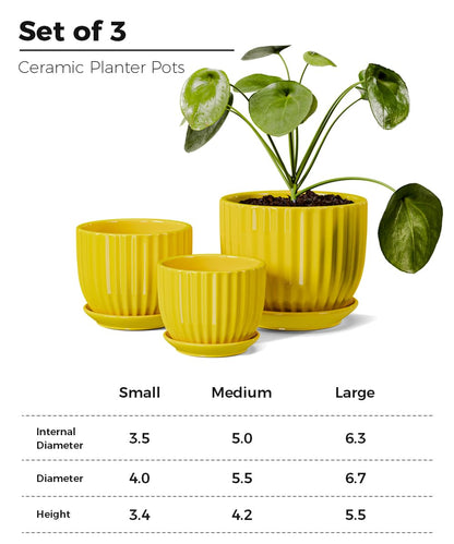 Ceramic Flower Pots Set of 3, 4+5+6 inch Plant Pots for Indoor Plants Ceramic Plant Pots with Tray,Medium Indoor Planters for Aloe Cactus Decorative Pots with Drainage Hole