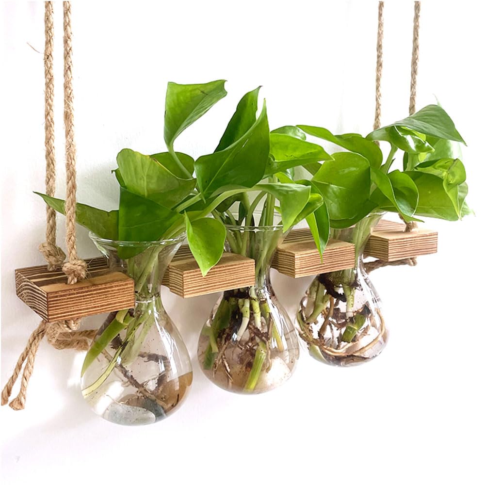 2 Tiered Plant Propagation Station,Hanging Propagation Station,Plant Propagation Station Wall Hanging,Gardening Gifts for Women