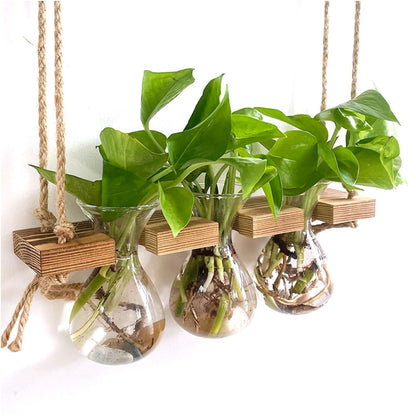 2 Tiered Plant Propagation Station,Hanging Propagation Station,Plant Propagation Station Wall Hanging,Gardening Gifts for Women