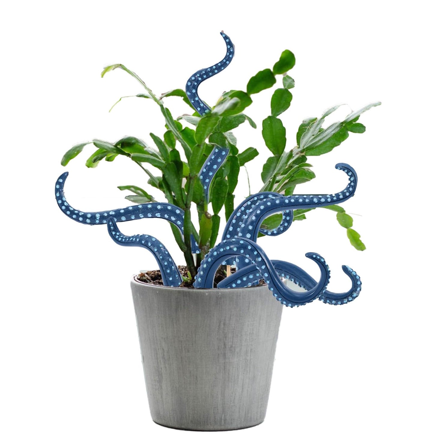 7PCS Octopus Tentacle Wooden Plant Stakes – Various Shaped Decorative Garden Stakes for Indoor/Outdoor Use. (Blue)