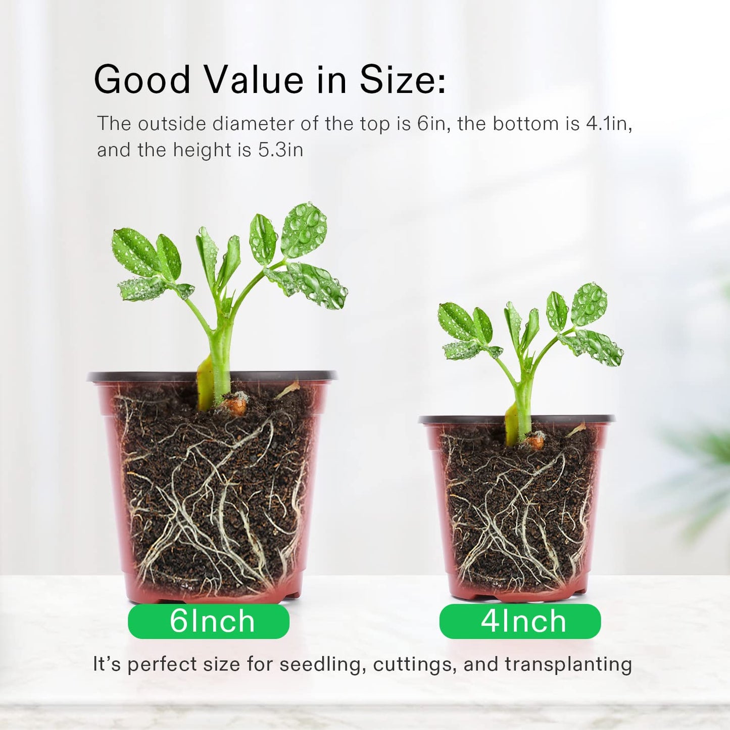 VIVOSUN 50 Pcs 6 Inch Plastic Plant Nursery Pots, Seed Starting Pot, Flower Plant Container for Seedlings, Cuttings, Transplanting