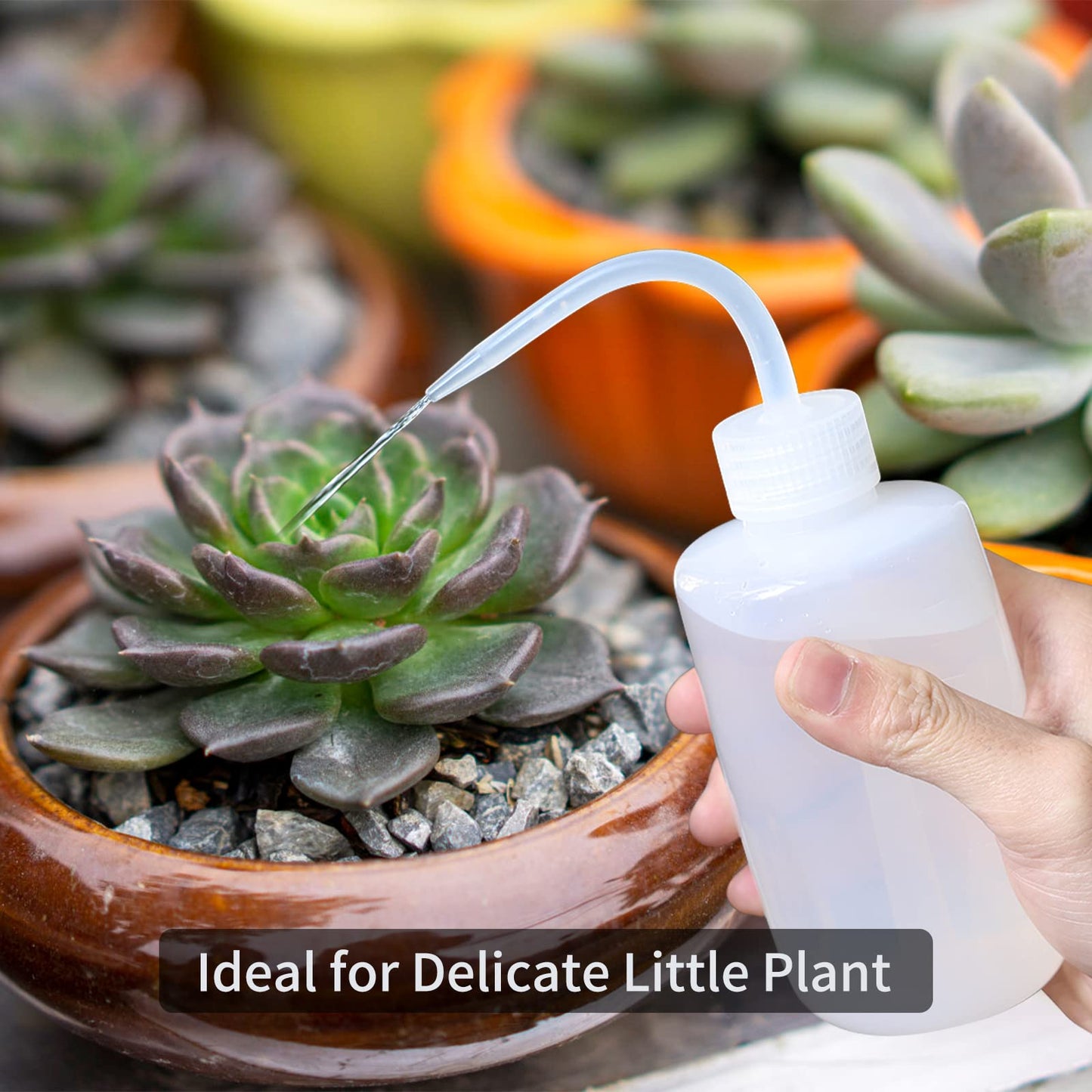 Watering Can, Goowin Watering Can Indoor Plants, Long Spout Small Watering Can for Indoor Outdoor Plants, 47 oz Indoor Plant Watering Can with Bonus 16 oz Spray Bottle & 8.5 oz Squeeze Bottle, Green