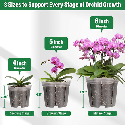 Tetutor 12 Pack Plastic Orchid Pots with Holes, 4, 5, 6 Inch Clear Orchid Pots for Repotting with Saucers Drainage and Plant Stakes, Large Small Breathable Orchids Planter Plant Pot