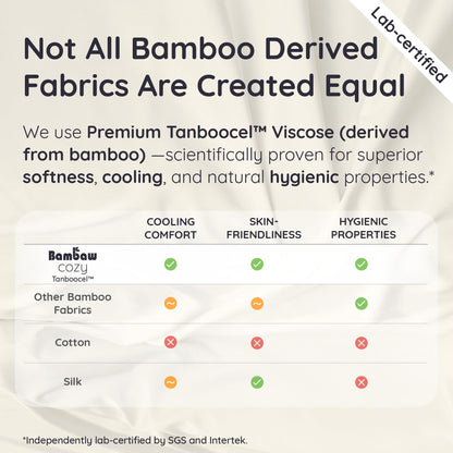 Bambaw 100% Viscose Derived from Bamboo Pillowcase Queen Size – Set of 2 Queen Cooling Pillow Cases for Hot Sleepers with Envelope Closure, Breathable & Super Soft Pillow Cases (Ivory)