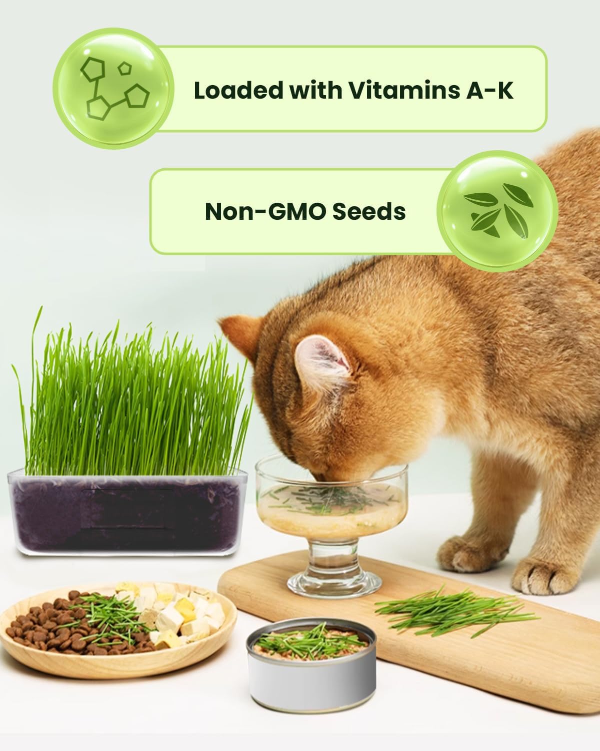 Cat Grass Kit for Indoor Cats - 3 Pack | Pet Wheat Grass Seeds, Grows in 7 Days | Digestive Health & Reduces Hairball | Gift for Cat Lovers with BPA-Free Planters, Soil & Cat Grass Seeds