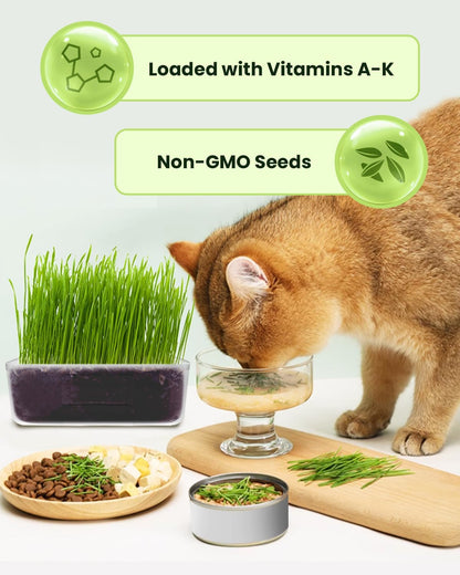 Cat Grass Kit for Indoor Cats - 3 Pack | Pet Wheat Grass Seeds, Grows in 7 Days | Digestive Health & Reduces Hairball | Gift for Cat Lovers with BPA-Free Planters, Soil & Cat Grass Seeds