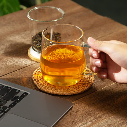 Dorsaer Glass Tea Mugs - Glass Tea Cup with Glass Infuser and Lid for Tea Steeping at Home and Office (16.9 oz)