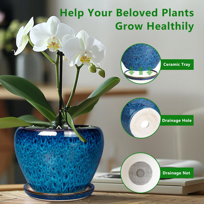 Ceramicfor Ceramic Modern Glaze Succulent Planter Pot with Drainage Hole and Saucer 6 Inch Round Flower Plant Pot for Indoor Outdoor Herb Snake Plants