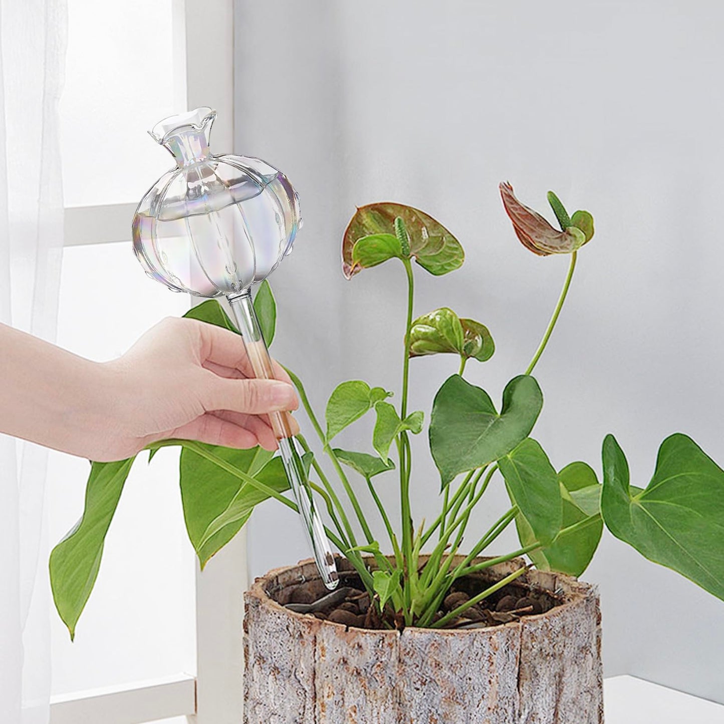 Solaroxy 4 PCS Self Plant Watering Globes Insert, Clear Glass Watering Bulbs with Removable Sealing Plug, Plant Waterer for Indoor & Outdoor Plants Flowers (5 oz)
