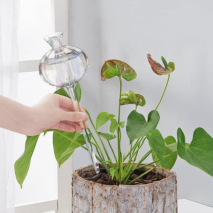 Solaroxy 4 PCS Self Plant Watering Globes Insert, Clear Glass Watering Bulbs with Removable Sealing Plug, Plant Waterer for Indoor & Outdoor Plants Flowers (5 oz)
