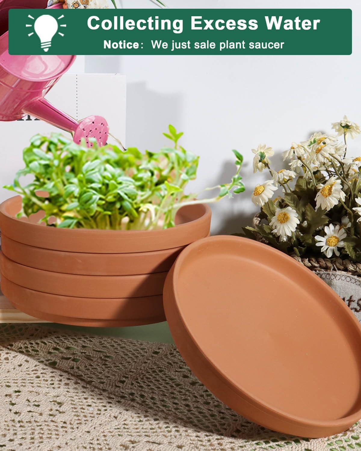 Terracotta Pot Plant Saucer -Round Plant Pot Saucers, Tiny Clay Plant Trays Great for Indoor Outdoor (4, 8 inch)