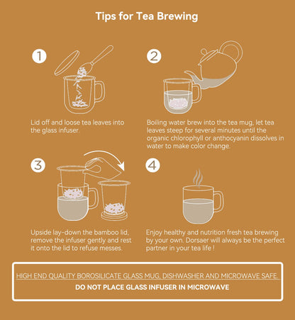 Dorsaer Glass Tea Mugs - Glass Tea Cup with Glass Infuser and Lid for Tea Steeping at Home and Office (16.9 oz)