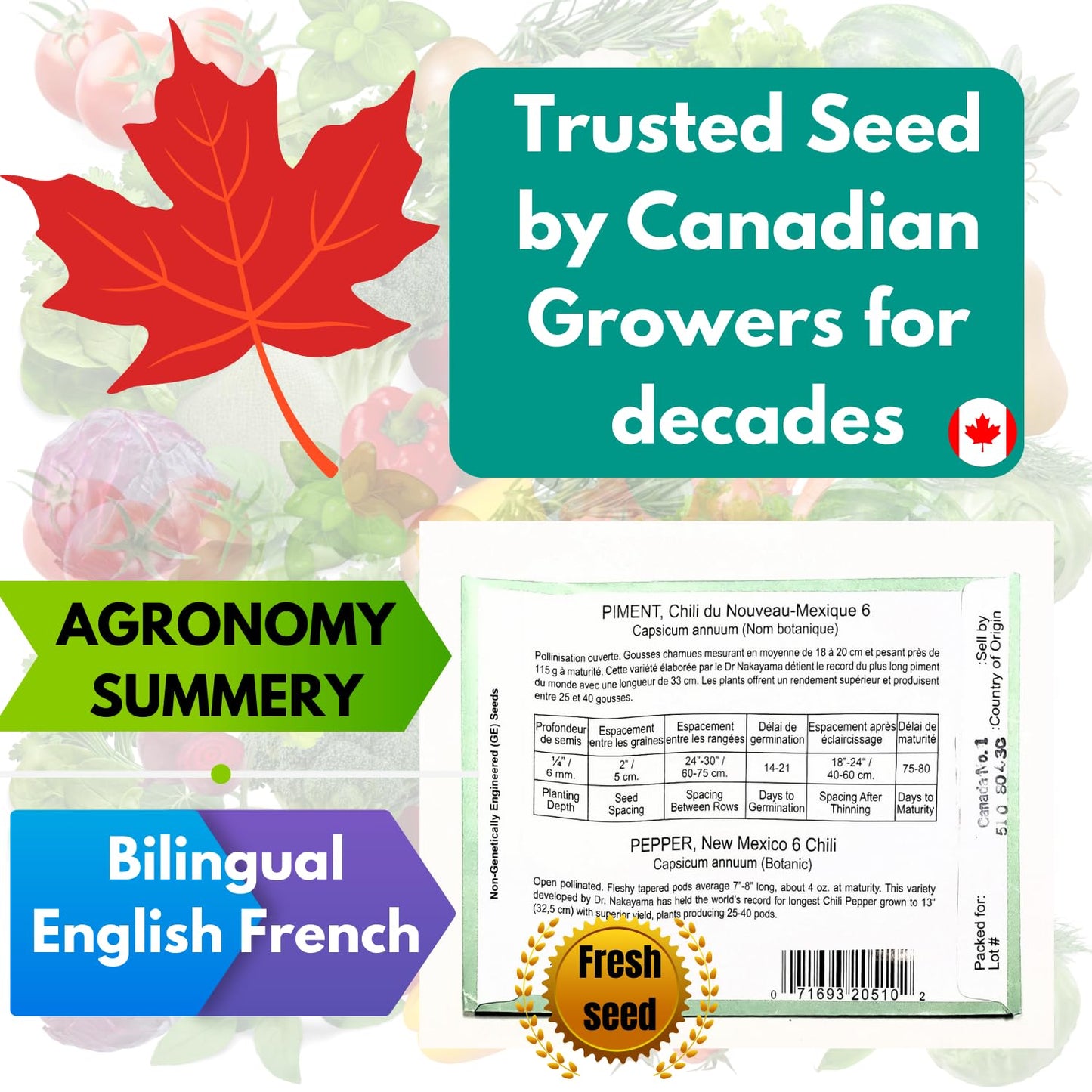 THUNDERBAY-GBSE Vegetable & Herb Seed Variety Pack of 37 Heirloom Sachets Approx. 5200 Seeds(100% Non GMO,37 Individually Packed Sachets, 37 Planting Tags) 37 sachets d'herbes et de légumes