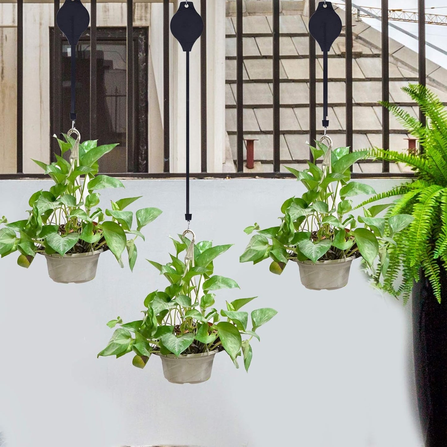 5 Pack Retractable Plant Hanger,Easy Reach Hanging Plant Hook Pulley Flower Basket for Garden Basket and Birds Feeder Hang High up and Pull Down to Water Or Feed