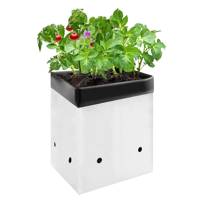 VIVOSUN 50-Pack 5 Gallon Grow Bags for Plants, Black-and-White Material for Potting Up Seedlings and Rooting