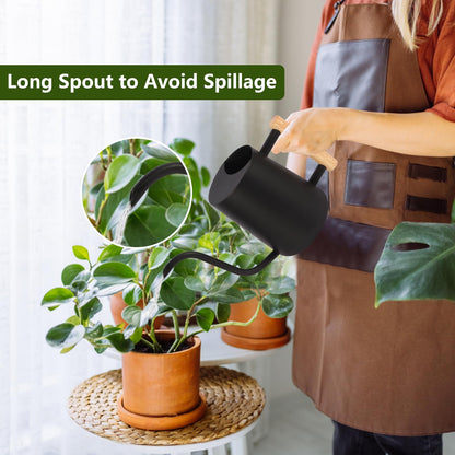 Watering Can Indoor Plants, 35oz Small Watering Can Stainless Steel Metal Modern Decorative Watering Pot with Long Spout for Indoor House Plant Bonsai Garden Flowers - Black