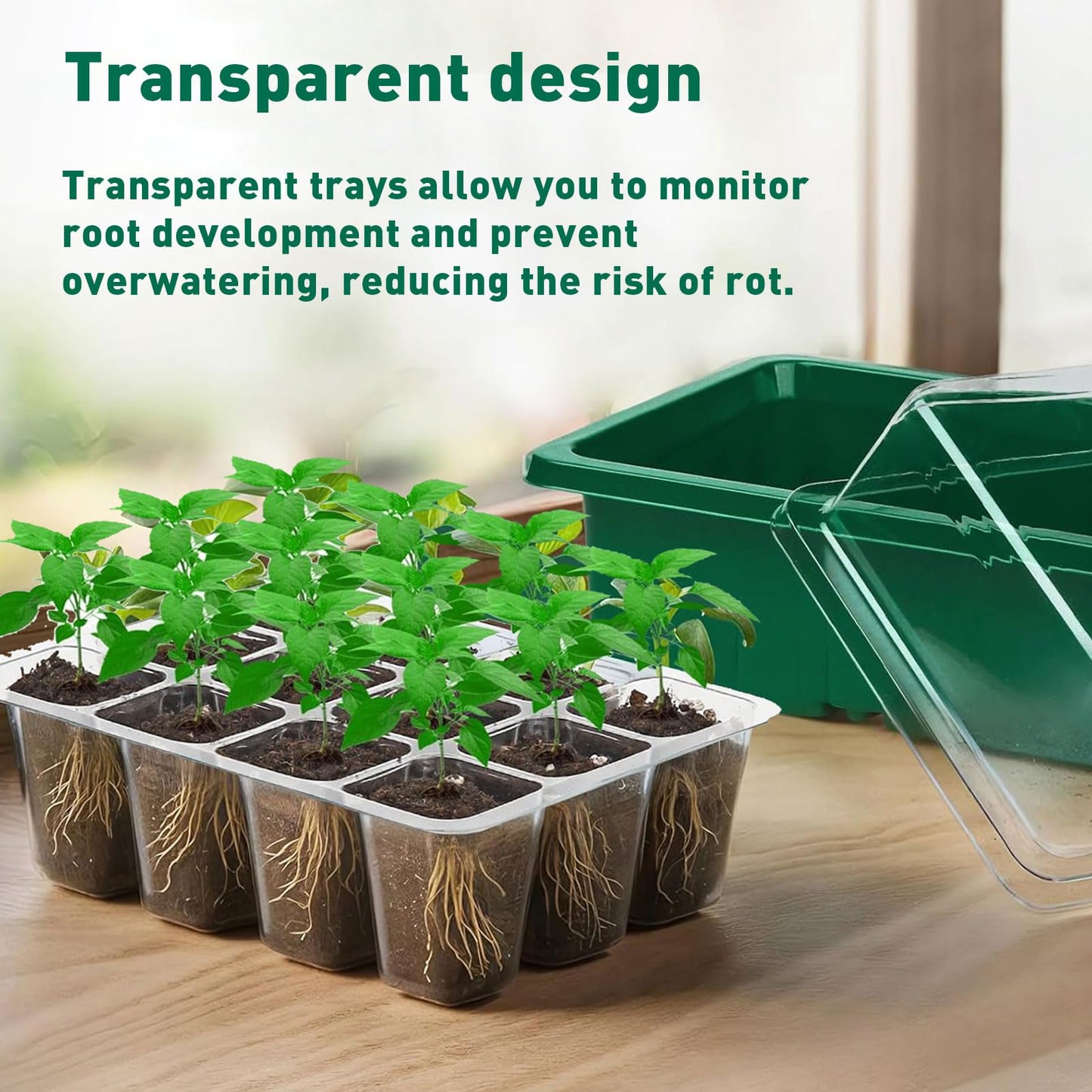 Seed Trays, 10 Pack Plant Seed Starter Tray with Humidity Domes, 120 Cells Total + Planting Tools & Labels, Reusable Indoor Seedling Germination Kit