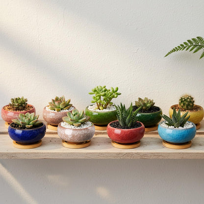 TOPZEA 16 Pack Mini Ceramic Succulent Planter Pot, 2.5 Inch Ice Crack Cactus Seed Starter Pots Micro Landscape Planter with Drainage Hole & Bamboo Tray for Moss Plant, Baby Succulent, Herb