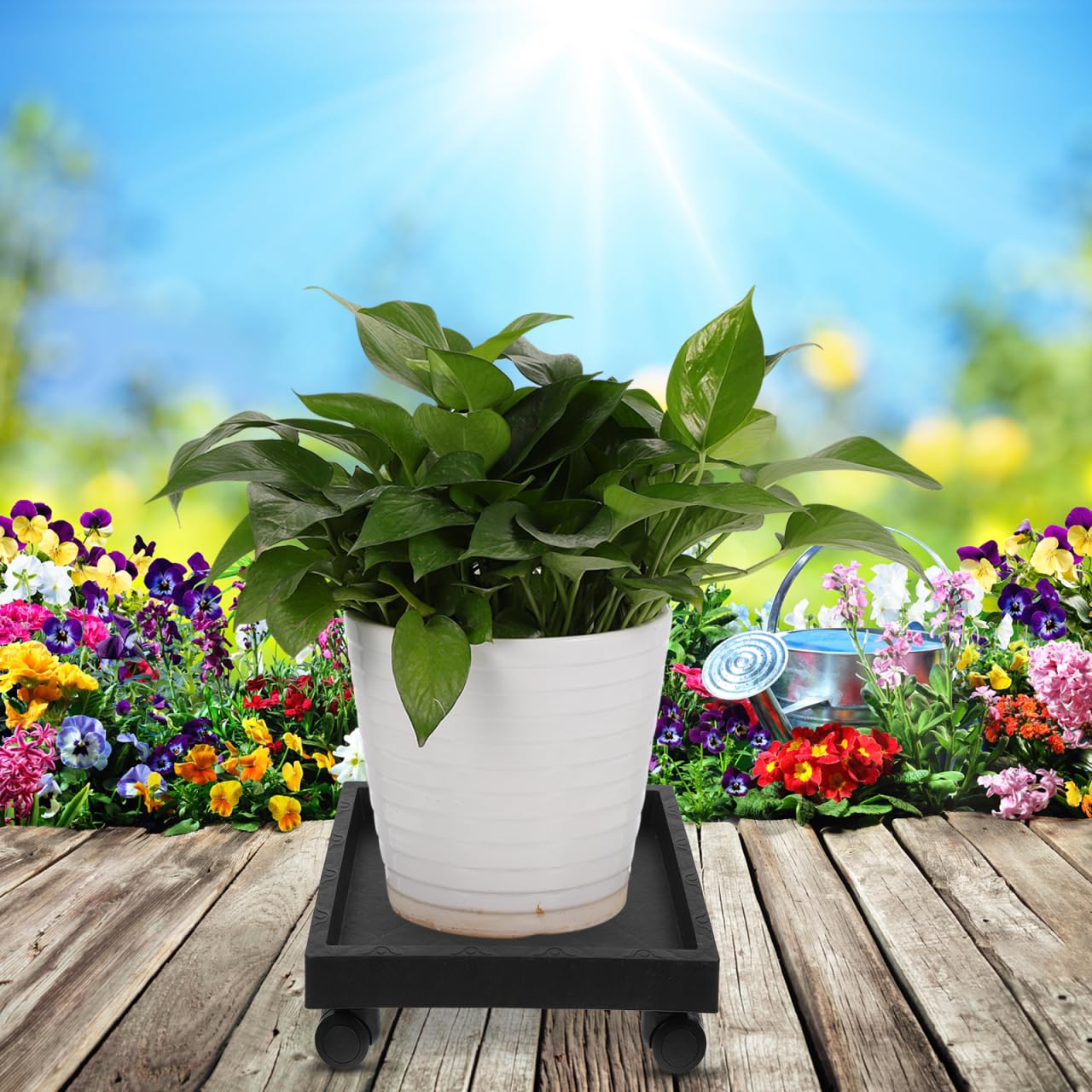 Toddmomy Square Plant Caddy with Wheels 11.41 Inch Thickened Plastic Flower Pot Tray Holder for Indoor Outdoor Garden Patio Balcony Clean Water Soil