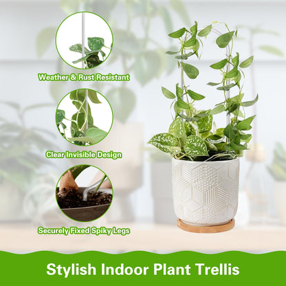 Tefola 8 Pack Clear Acrylic Plant Trellis Indoor, Lightweight Reusable Trellis for Climbing Plants for House Flower Hoya Pothos Vine Lvy, Indoor & Outdoor Use with Easy Setup