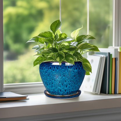 Ceramicfor Ceramic Modern Glaze Succulent Planter Pot with Drainage Hole and Saucer 6 Inch Round Flower Plant Pot for Indoor Outdoor Herb Snake Plants