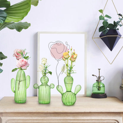 Suwimut 3 Pack Cactus Plant Propagation Station, Mini Terrarium Glass Vases for Indoor Plants, Small Hydroponic Pots for Flowers, Cute Glass Planters Gifts for Women Home Garden Decor