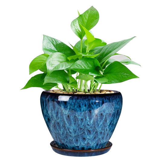 Ceramicfor Ceramic Modern Glaze Succulent Planter Pot with Drainage Hole and Saucer 6 Inch Round Flower Plant Pot for Indoor Outdoor Herb Snake Plants