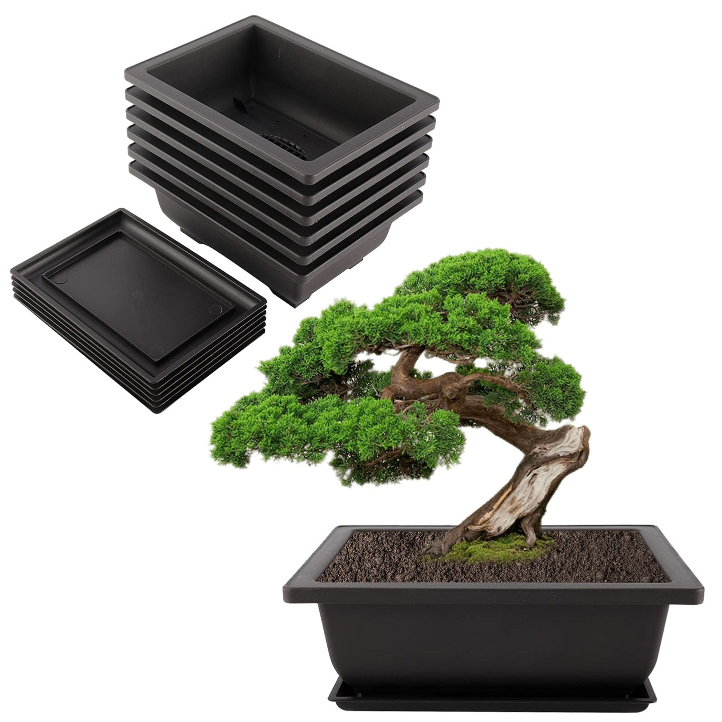 Artilife 6Pcs 6.5Inch Bonsai Pots,Plastic Bonsai Training Pots Humidity Trays Square Nursery Pots for for Plants, Flowers, Herbs, African Violets & Seed Nursery