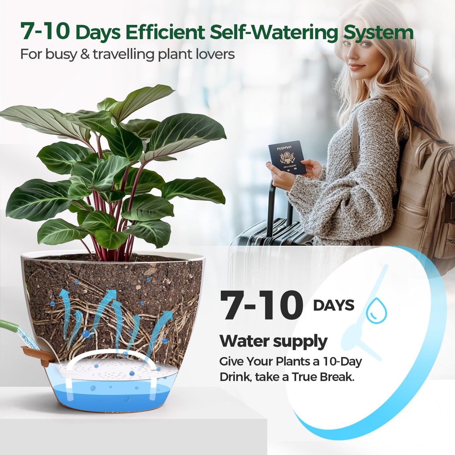 T4U Self Watering Pots 6 Inch 4 Pack, Plastic Planters with Water Level Window and Wick Rope for Busy People, Bottom Watering Pot for African Violets, Herbs and Pothos, Indoor Home Decor(White)
