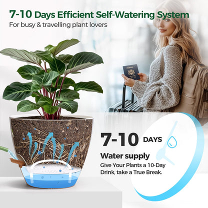 T4U Self Watering Pots 6 Inch 4 Pack, Plastic Planters with Water Level Window and Wick Rope for Busy People, Bottom Watering Pot for African Violets, Herbs and Pothos, Indoor Home Decor(White)