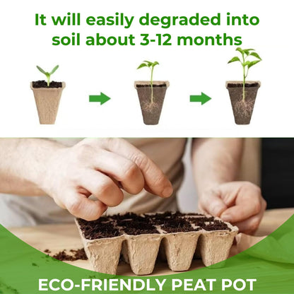 40 Packs Peat Pots Seed Starter Tray, 480 Cells Biodegradable Seedling Pots Germination Trays, Plant Starter Tray for Seedling, Organic Seed Starting Trays kit with Labels & 2 Transplant Tools (40)