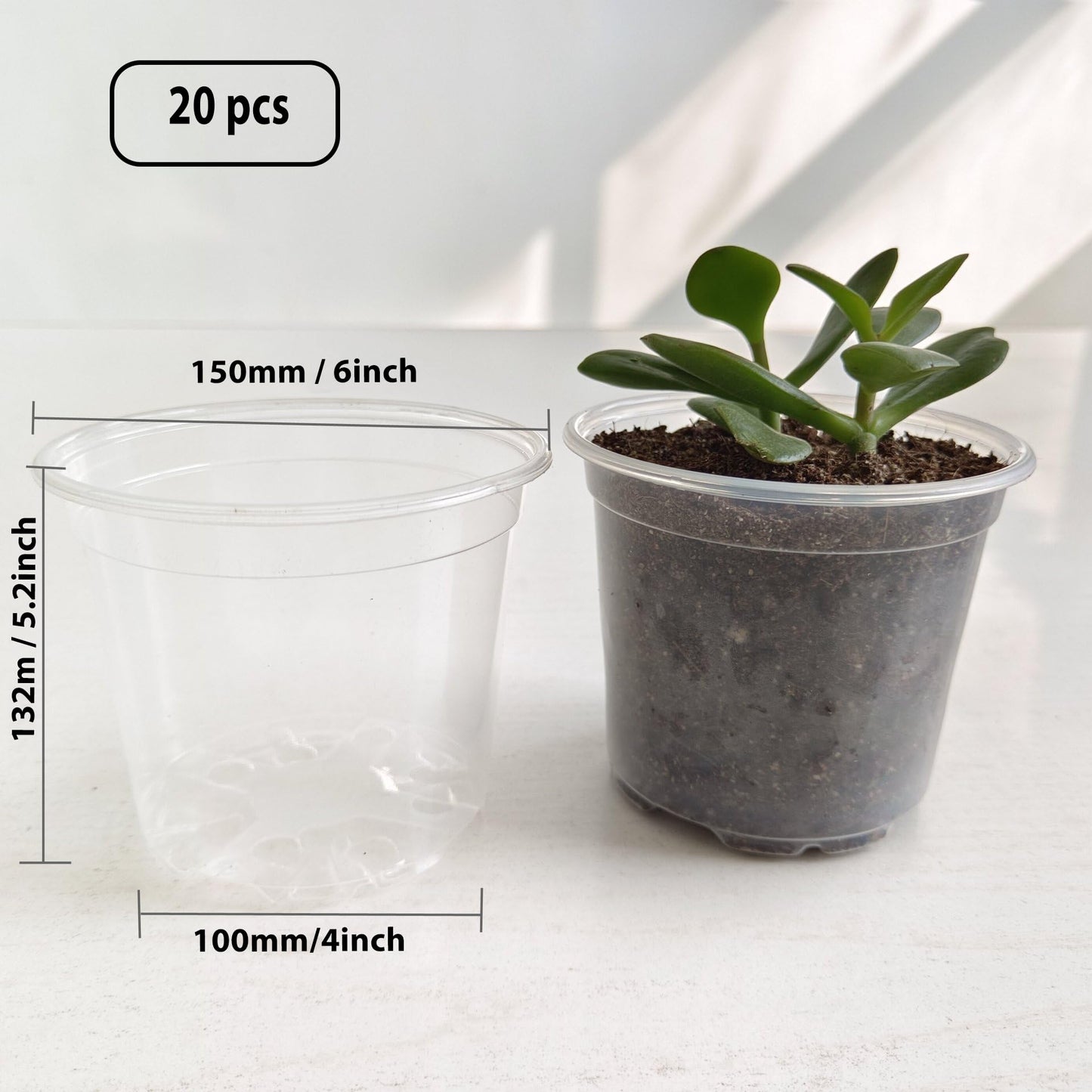 Clear Nursery Pots 20PCS 6" Plastic Plant Pot Transparent Flower Pots Seed Pot Starter Pot for Seedling Nursery Supplies Grow Pot Planter Flower Pot Container for Seedling Cultivation(Clear)