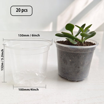 Clear Nursery Pots 20PCS 6" Plastic Plant Pot Transparent Flower Pots Seed Pot Starter Pot for Seedling Nursery Supplies Grow Pot Planter Flower Pot Container for Seedling Cultivation(Clear)