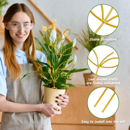 Trellis for Potted Plant,Metal Wire Stake for Climbing Plants Indoor Houseplant Lover,Trellis for Garden Potted Plant,Hoya,Pothos,Flower,Monstera-PLJ-009_CA