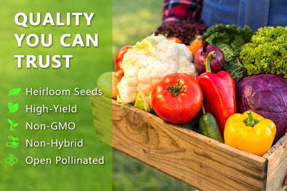 Vegetable Seeds Pack & Fruit Seeds 35 Varieties Individually Packed with Vegetables 10 Free Plant Markers Vegetable Seeds for Planting Indoor and Outdoors Gardening
