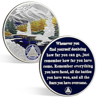CHURYUML 1 Year Sobriety Coin 12 Month AA Coins 365 Day Sobriety Gifts Recovery Medallions Sober Chip Alcoholics Anonymous Token Sober Anniversary Gifts with Capsule, Display & Card