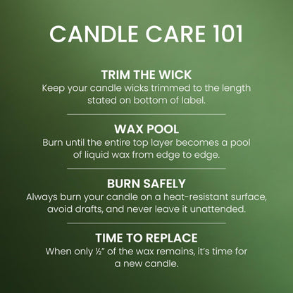 Yankee Candle 3 Wick Candle Jar, Scented Candle with up to 40 Hours of Burn Time, Premium Plant Wax Blend for Consistent Long Lasting Scent from First to Last Burn, Balsam & Cedar