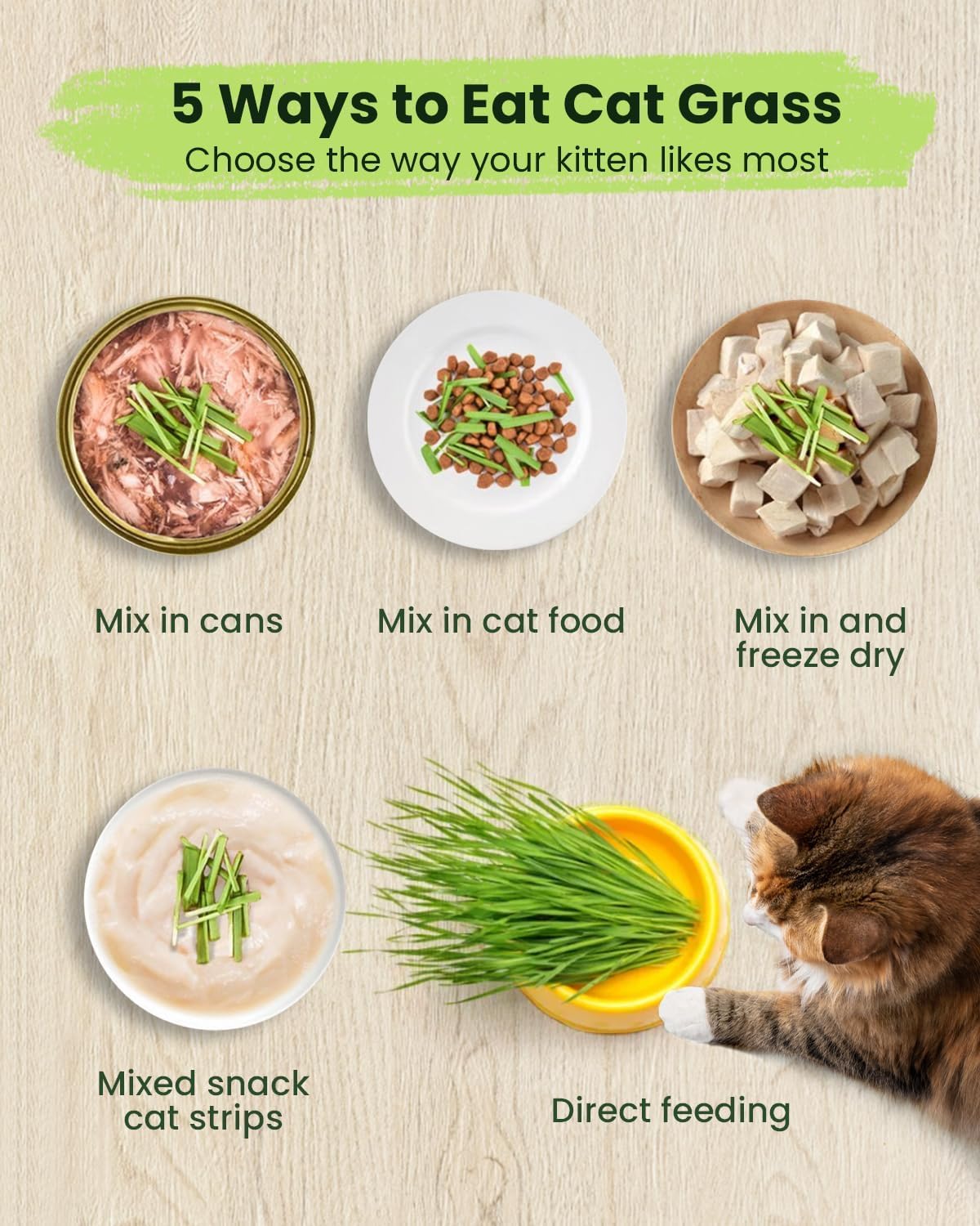 Cat Grass Kit for Indoor Cats - 3 Pack | Pet Wheat Grass Seeds, Grows in 7 Days | Digestive Health & Reduces Hairball | Gift for Cat Lovers with BPA-Free Planters, Soil & Cat Grass Seeds