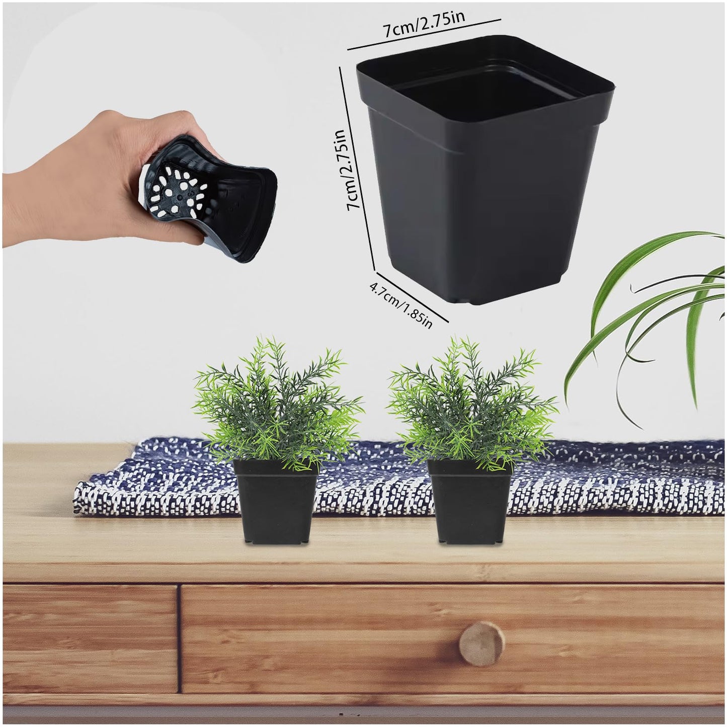 YELINTIAN 100 Pcs Square Seedling Nursery Pots, 2.76Inches Plastic Plant Seedling Pot with Drainage Hole Saucers for Flower, Succulent, Herb, Small Potted Plants