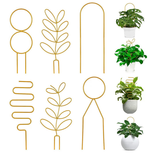 Trellis for Potted Plant,Metal Wire Stake for Climbing Plants Indoor Houseplant Lover,Trellis for Garden Potted Plant,Hoya,Pothos,Flower,Monstera-PLJ-009_CA