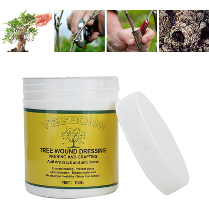 Alvinlite 300g Tree Wound Pruning Sealer with Brush, Tree Wound Dressing for Pruned and Damaged Trees, Tree Shrub Seal Repair Paste, Ready to Use Protective Seal for Trees, Shrubs
