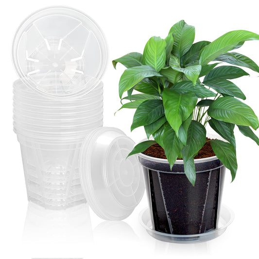 YALIOURS Clear Nursery Pots,10 Pack 6 Inch Clear Plant Pots with Saucer, Transparent Plastic Garden Pots with Drainage Hole for Outdoor Indoor Plants Flower, Succulent