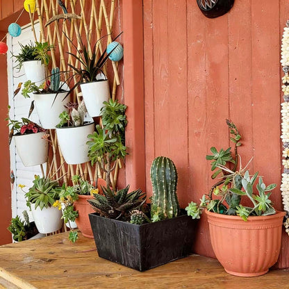 6 Pack Hanging Planter Pots Self Watering Vertical Garden Wall Mount Window Hang Round Plastic Container Indoor Outdoor for Plants Flowers Succulent Kitchen Living Herbs Holder Decor Decoration White