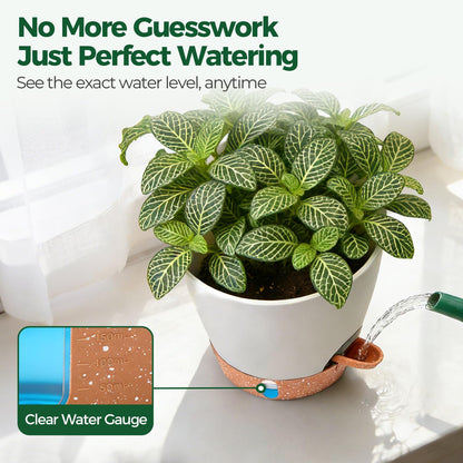 T4U Self Watering Pots 6 Inch 4 Pack, Plastic Planters with Water Level Window and Wick Rope for Busy People, Bottom Watering Pot for African Violets, Herbs and Pothos, Indoor Home Decor(White)